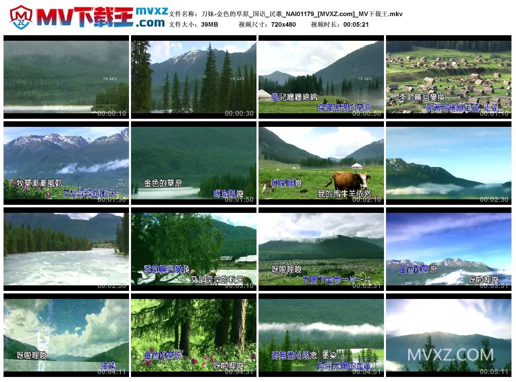 刀妹-金色的草原_国语_民歌_NAI01179